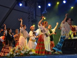 Festival de Folkore en Mula